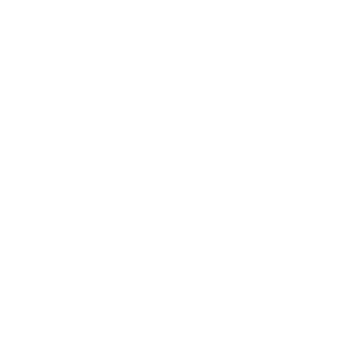 Loo York logo: a hand-drawn toilet bowl with the letters L and Y